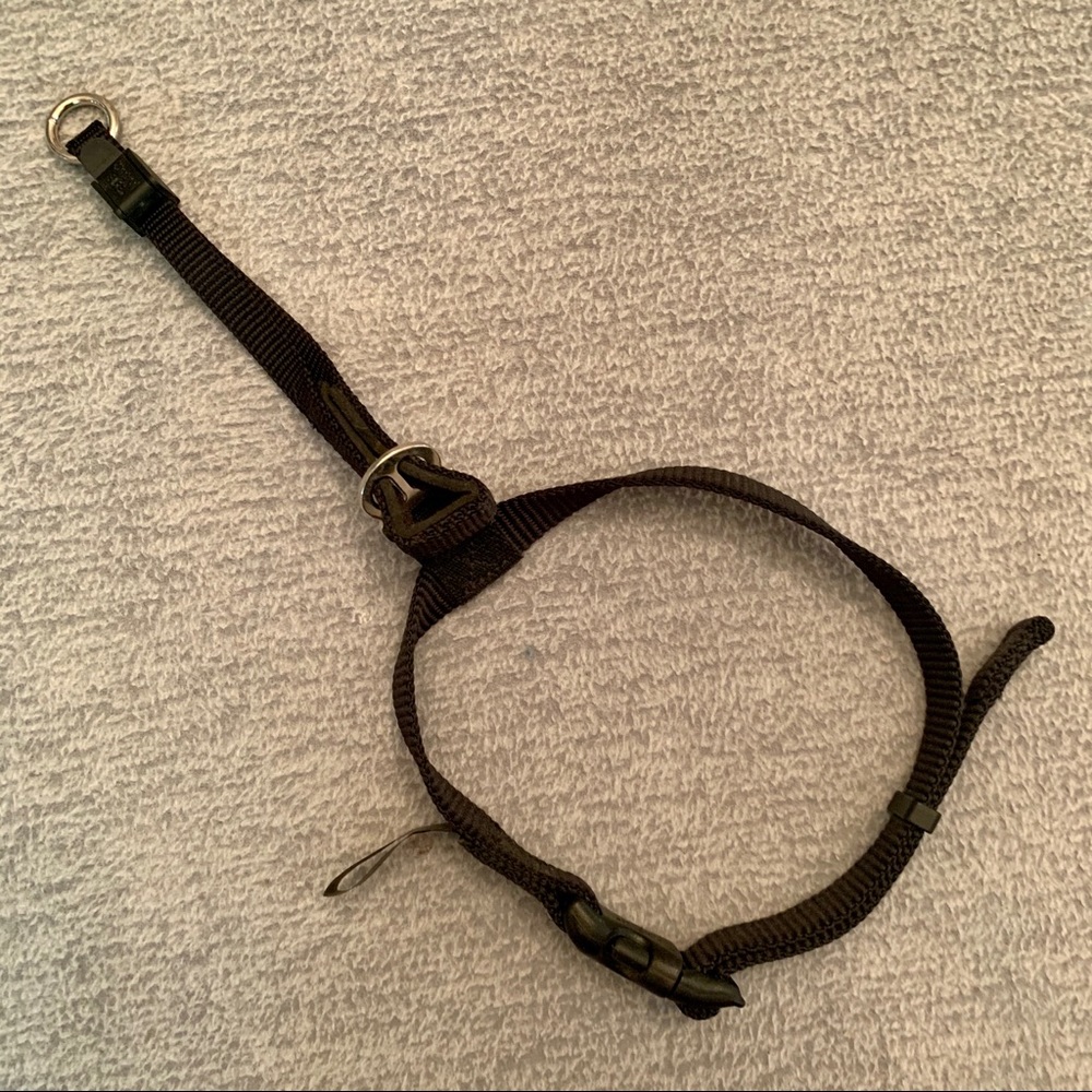 Control Ease, gentle dog collar (small)